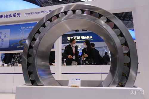 奔跑中的大連丨瓦軸高端產(chǎn)品亮相上海 央廣網(wǎng)